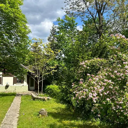 Gemuetliches Auf Gutshofgelaende Mit Pool Holiday home